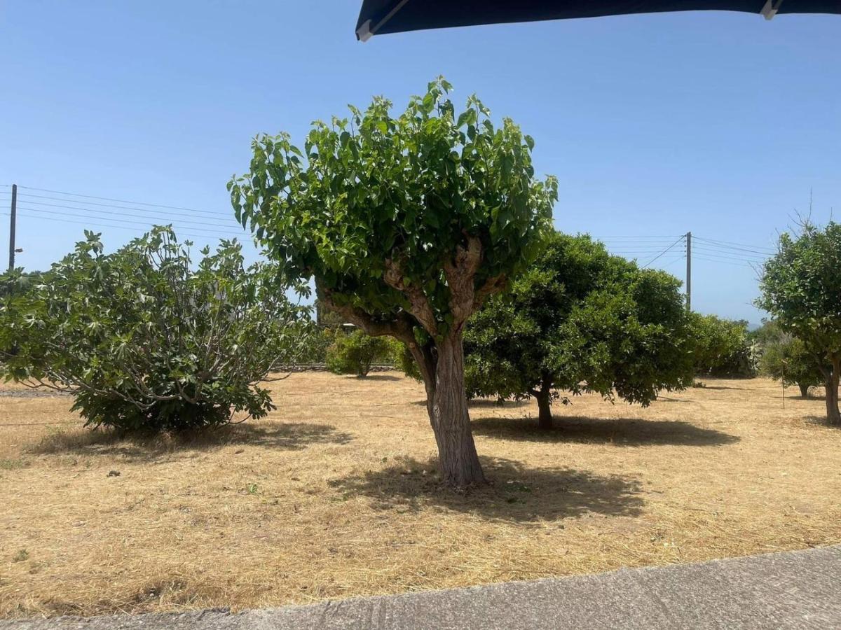 Aegean Endless Summer Villa Pefkos Pefki المظهر الخارجي الصورة