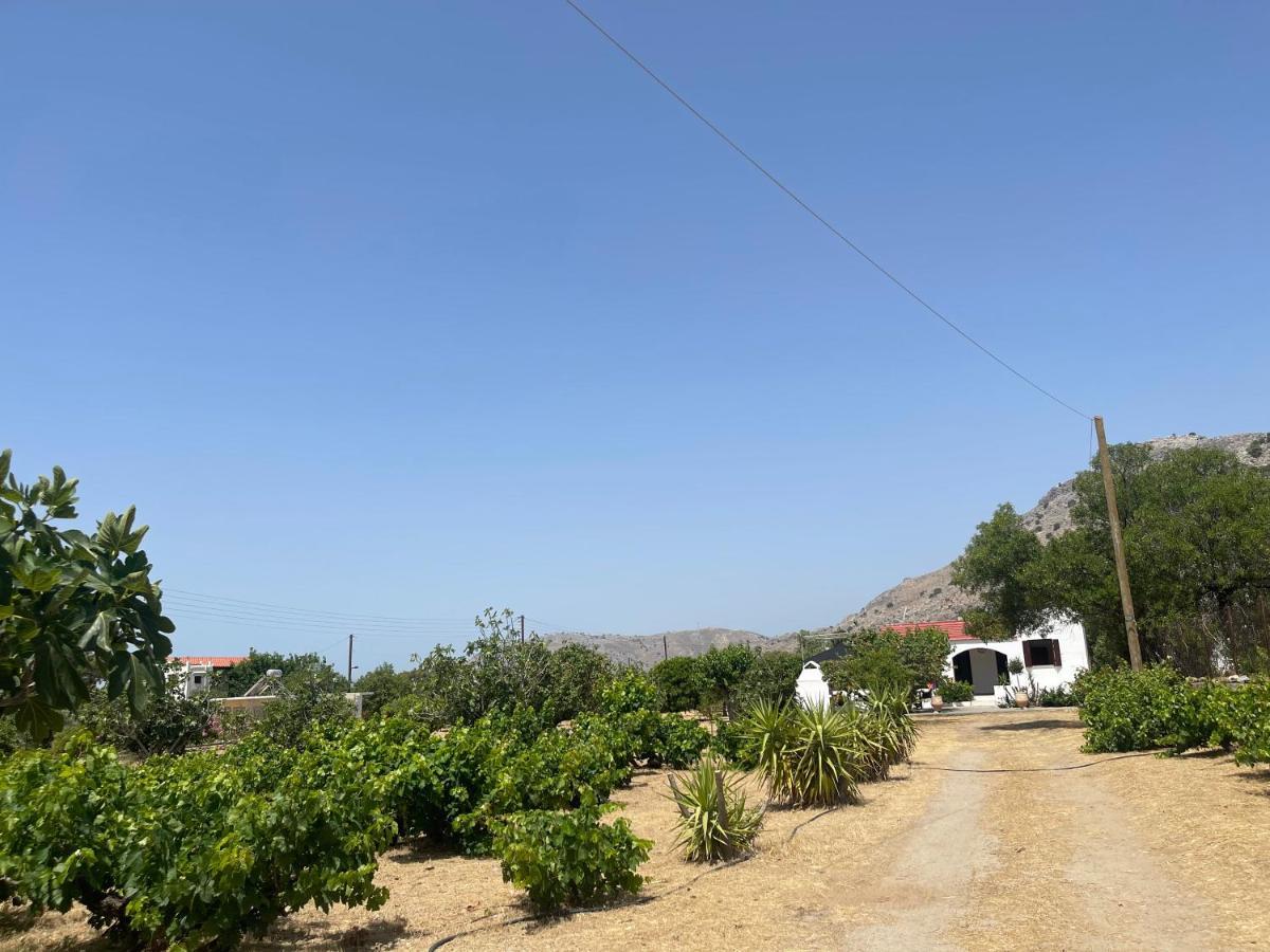Aegean Endless Summer Villa Pefkos Pefki المظهر الخارجي الصورة
