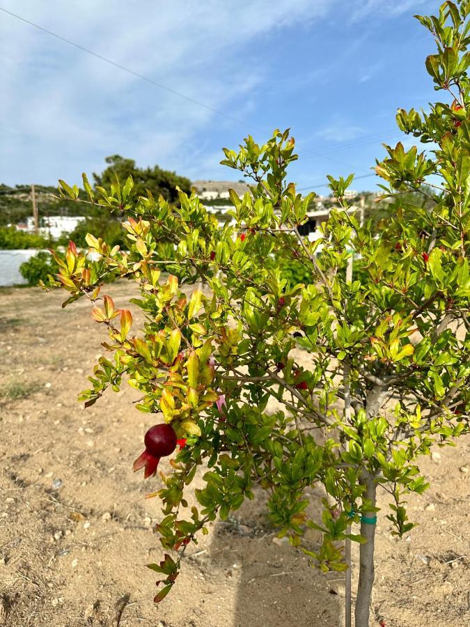Aegean Endless Summer Villa Pefkos Pefki المظهر الخارجي الصورة